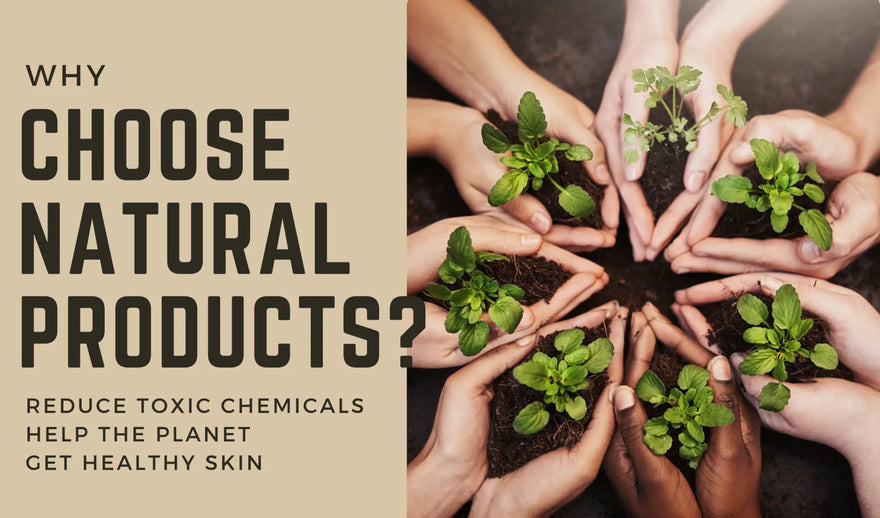 circle of palms holding soil with plants growing out of the soil