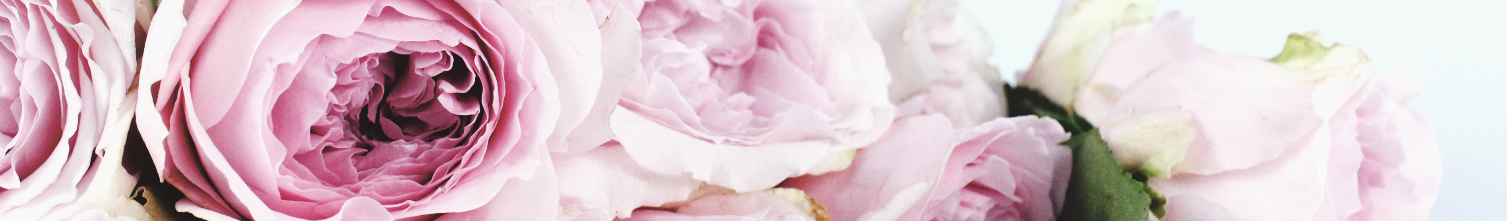 Dr. Hauschka Cleansing Sponge