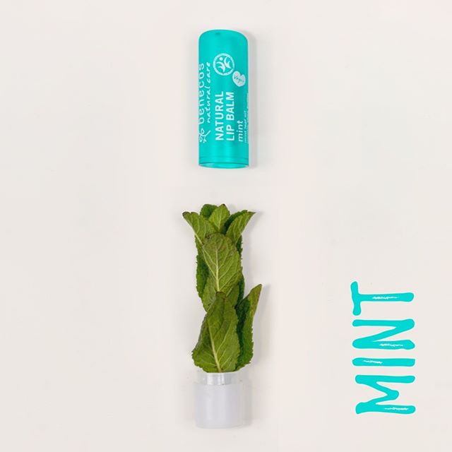 benecos natural lip balm mint key ingredients, mint leaves.