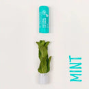 Fresh mint leaves bundled together with a turquoise label.