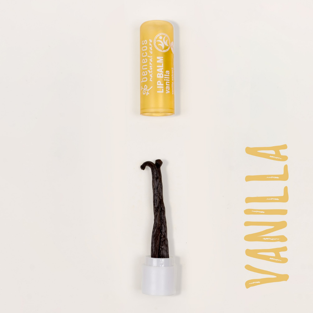 Benecos Natural Lip Balm Vanilla Key Ingredient, vanilla bean