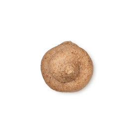 Brown mushroom with a round cap viewed from above.