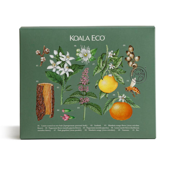 koala eco natural household cleaner gift box
